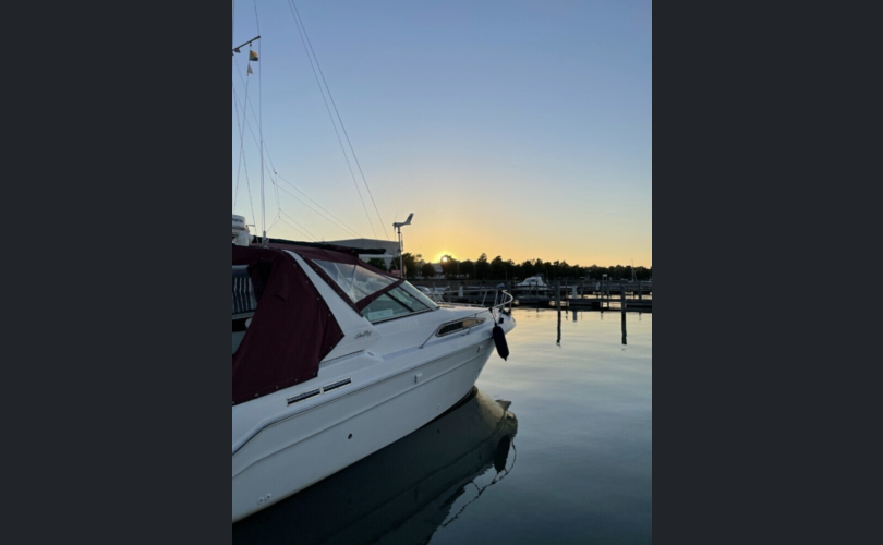 Sea Ray Sundancer 280-kuva-5